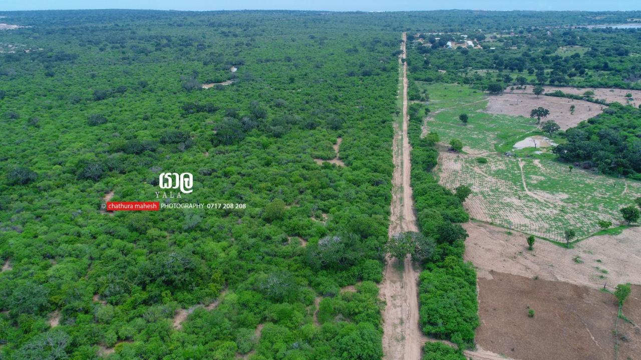 Dearly Holiday Home And Safari ティッサマハーラーマ エクステリア 写真